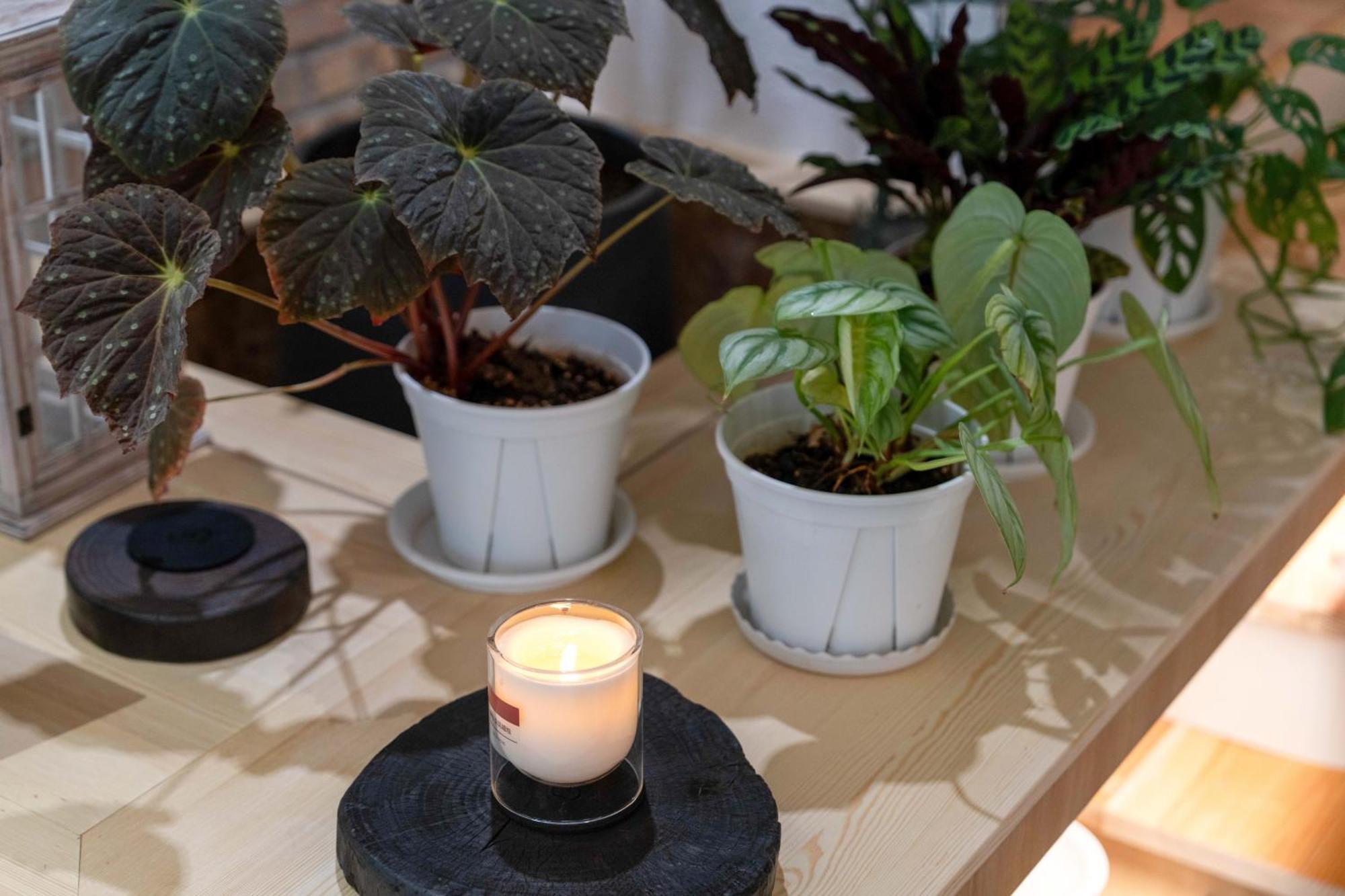 Xi'An Jasmine Boutique Inn מראה חיצוני תמונה